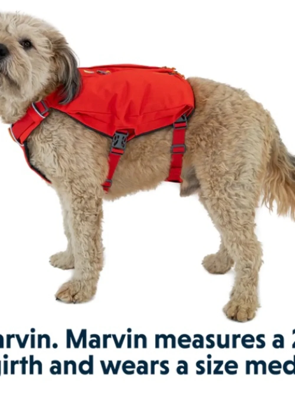 Switchbak™ Dog Harness (With Pockets)